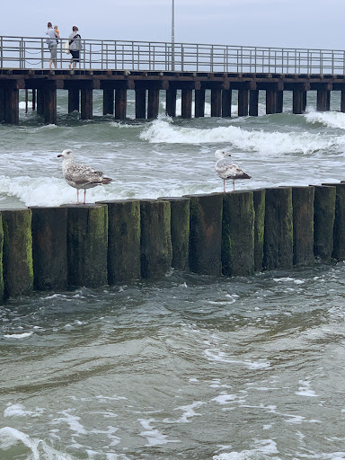 Photo from customer review