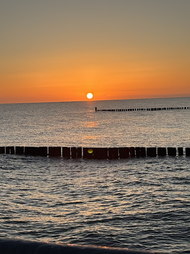 Photo from customer review